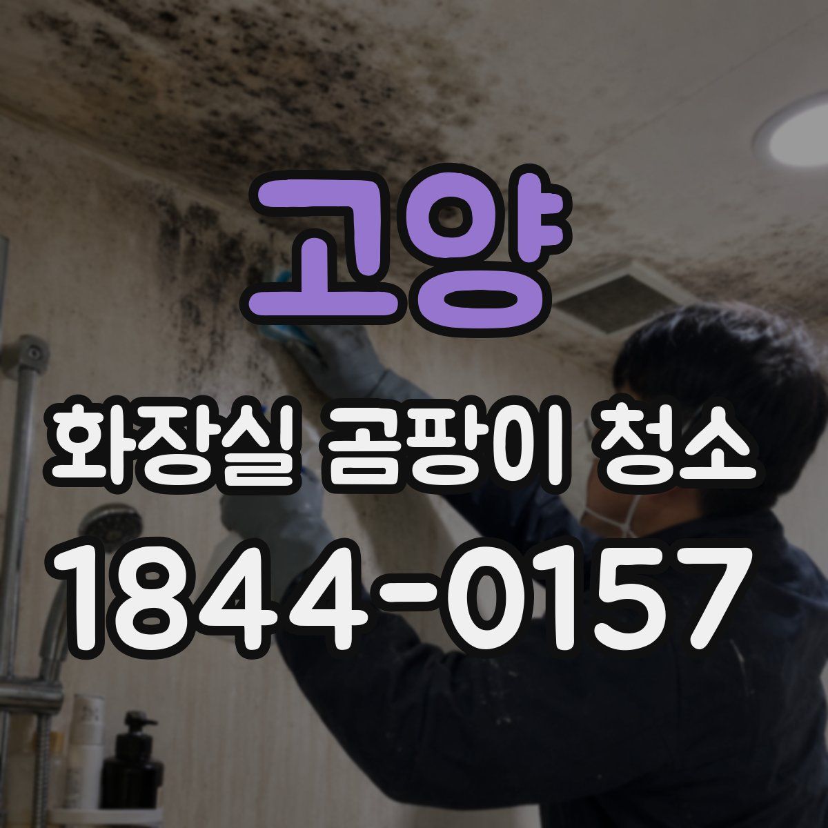 고양 화장실 곰팡이 청소