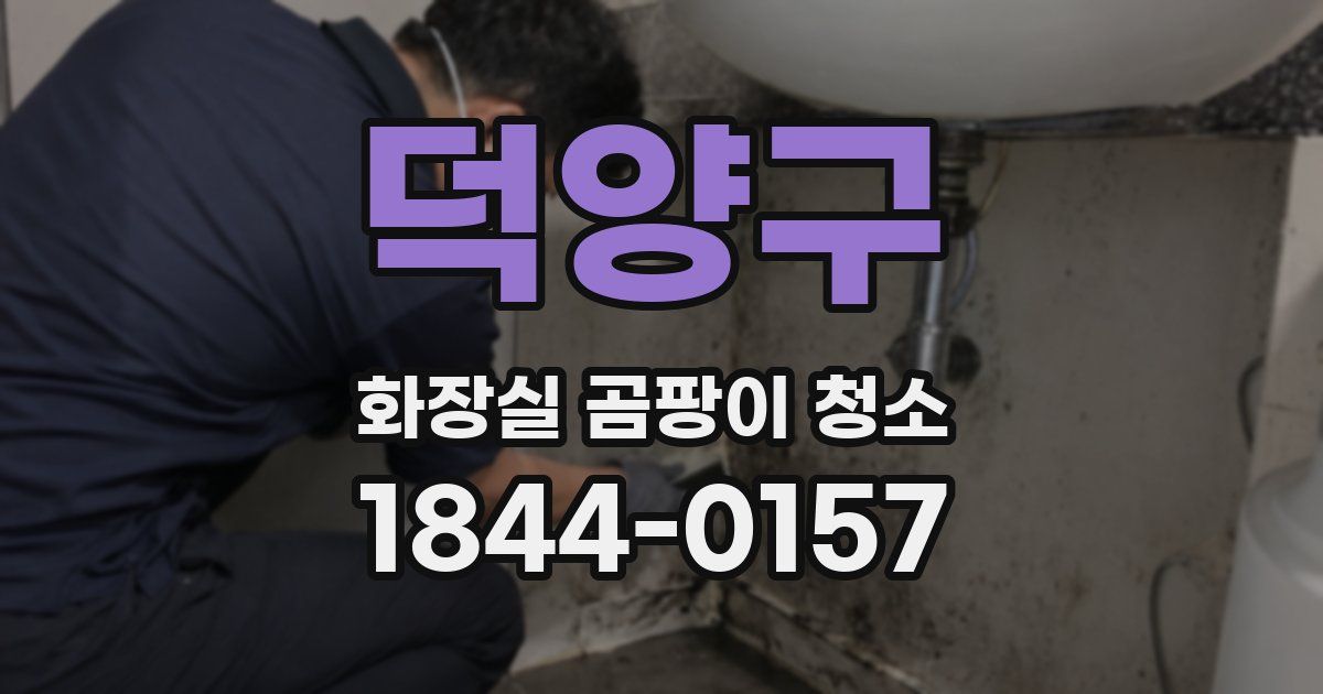 덕양구 화장실 곰팡이 청소