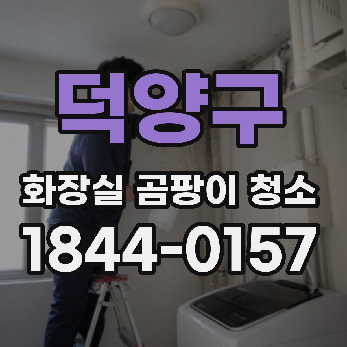 덕양구 화장실 곰팡이 청소