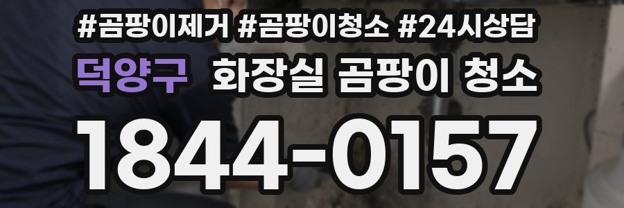 덕양구 화장실 곰팡이 청소