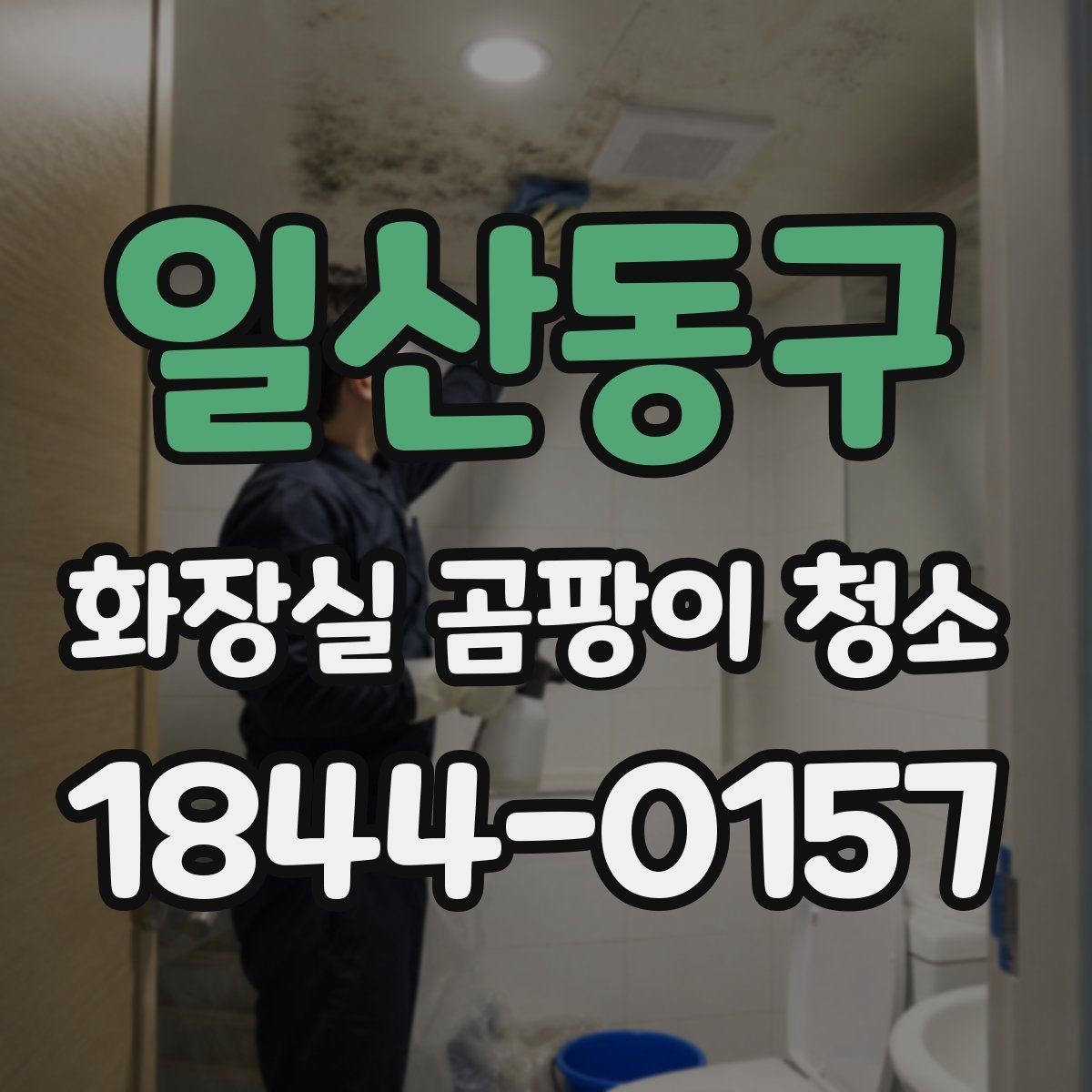 일산동구 화장실 곰팡이 청소 장마철 건조 시간을 잡는 실용적인 방법