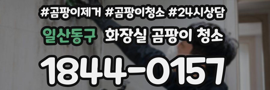 일산동구 화장실 곰팡이 청소