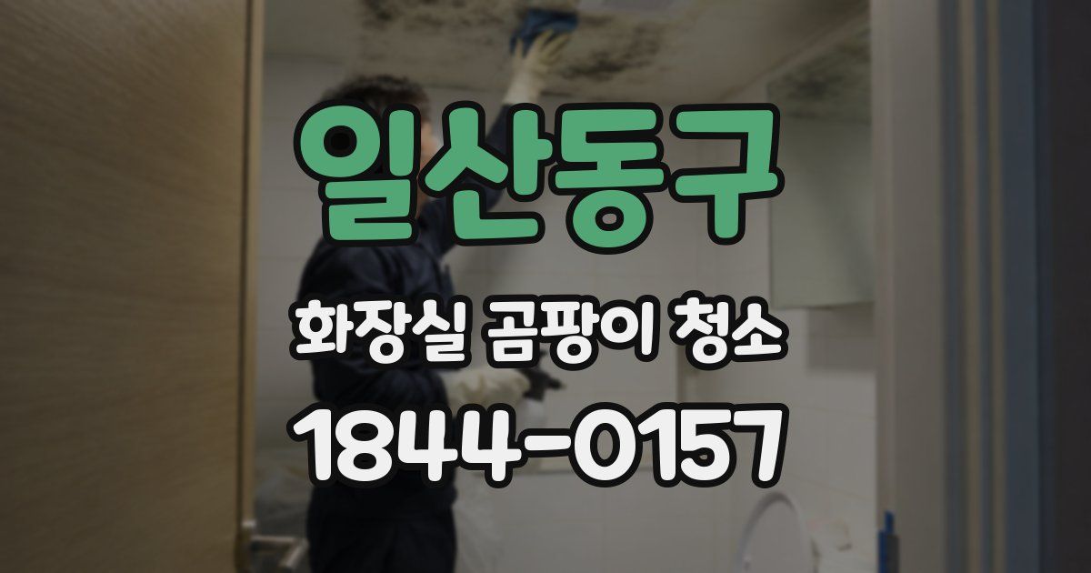 일산동구 화장실 곰팡이 청소