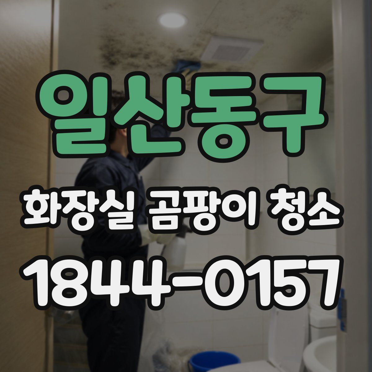 일산동구 화장실 곰팡이 청소