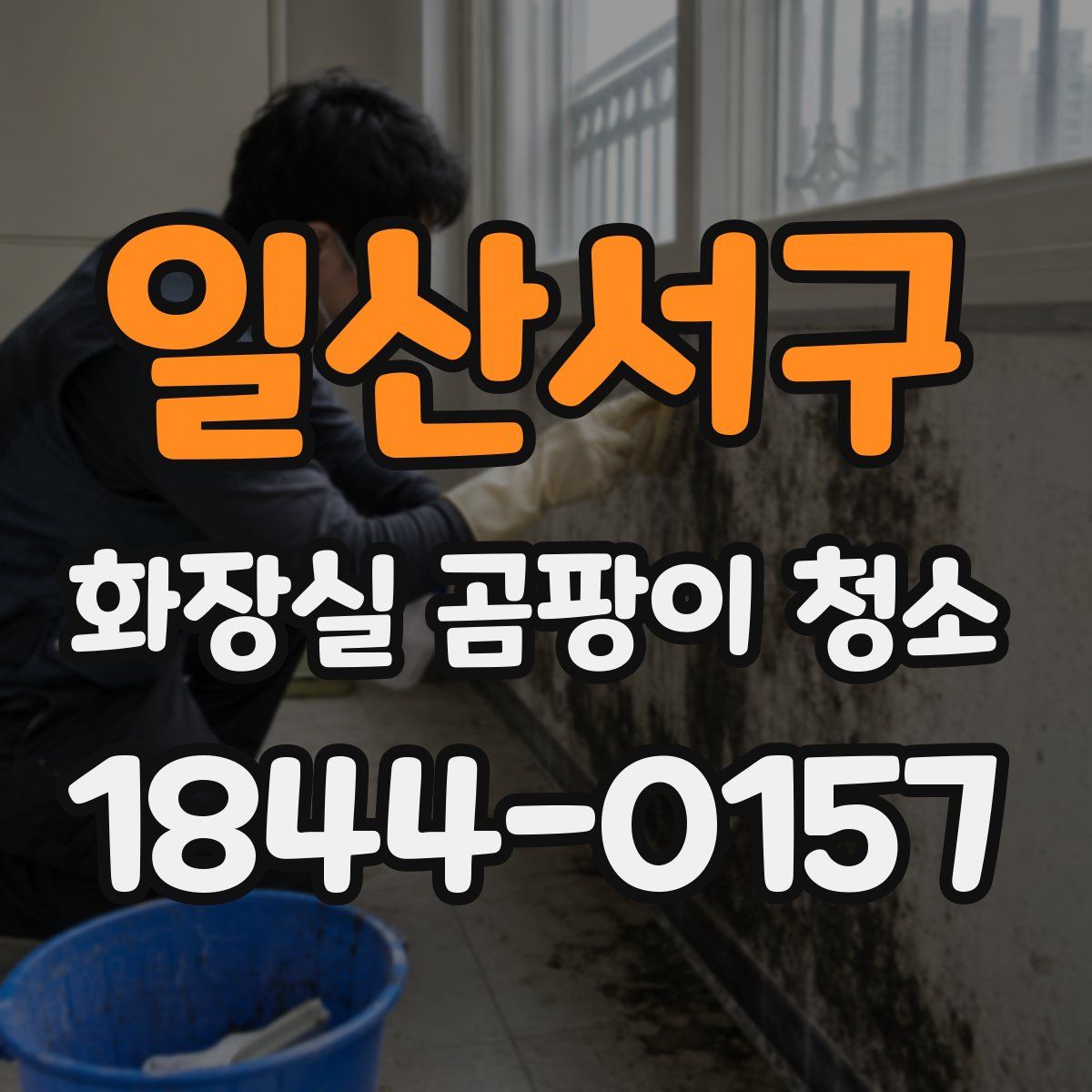 일산서구 화장실 곰팡이 청소