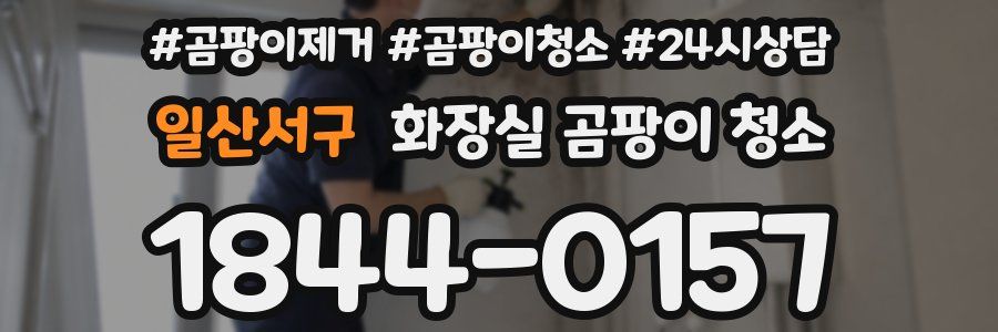 일산서구 화장실 곰팡이 청소