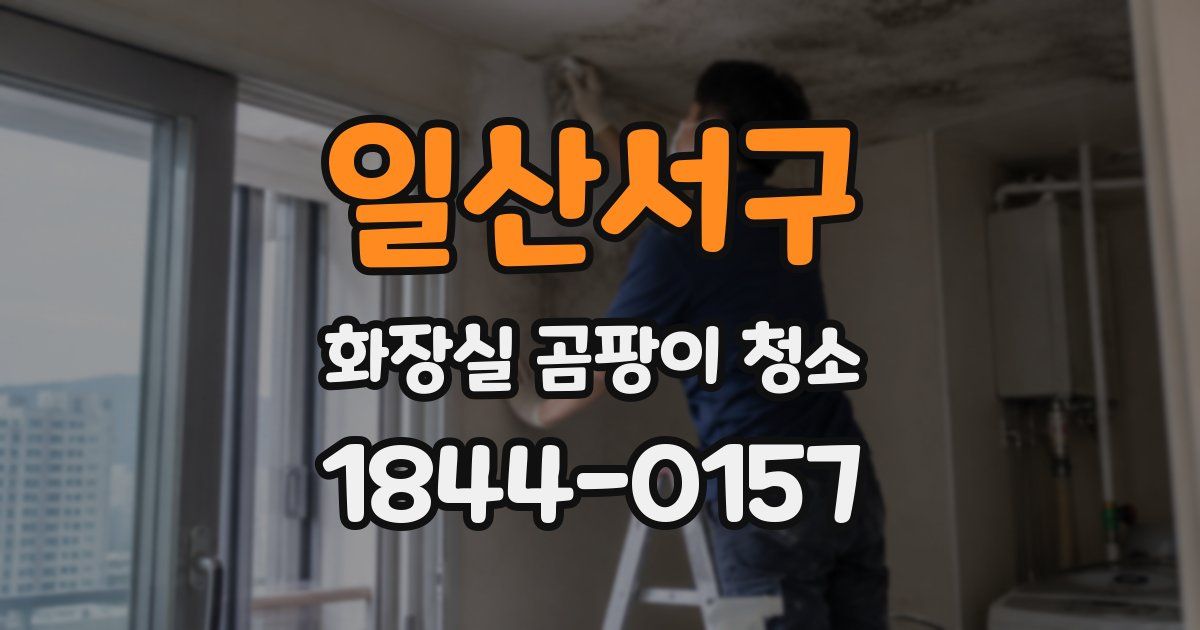 일산서구 화장실 곰팡이 청소