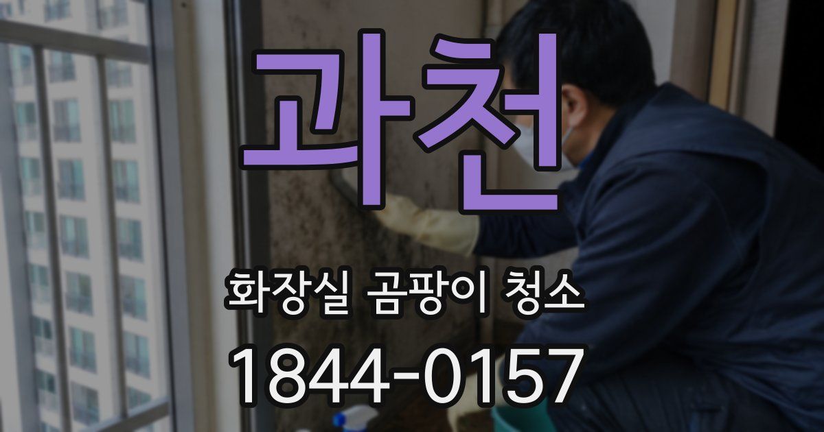 과천 화장실 곰팡이 청소