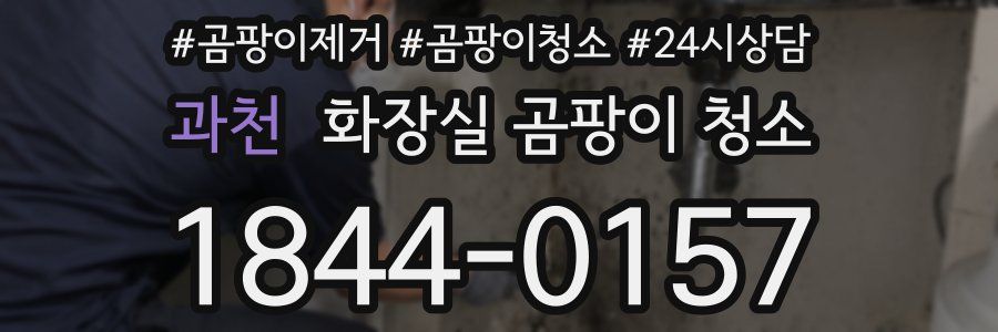 과천 화장실 곰팡이 청소