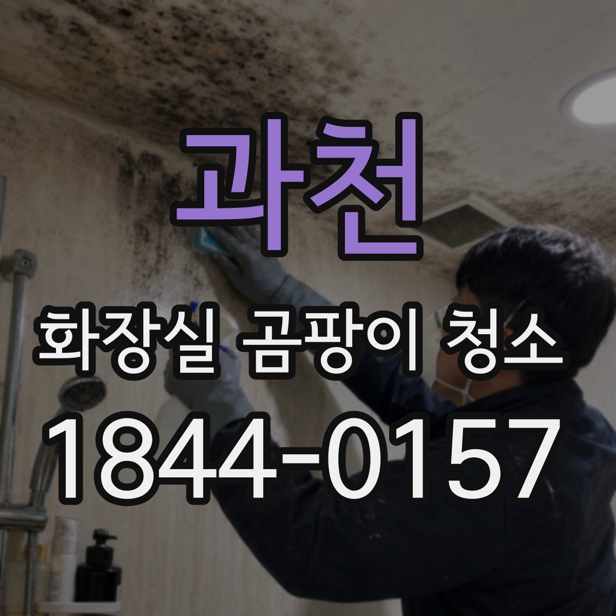 과천 화장실 곰팡이 청소