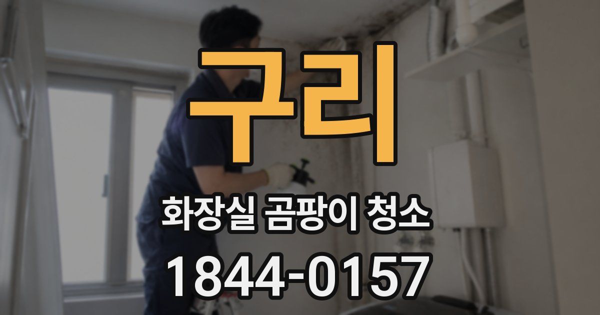구리 화장실 곰팡이 청소