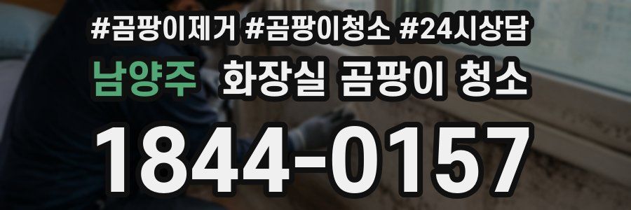 남양주 화장실 곰팡이 청소