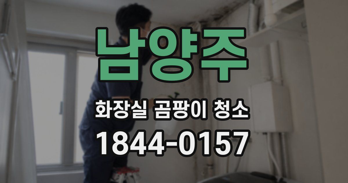 남양주 화장실 곰팡이 청소