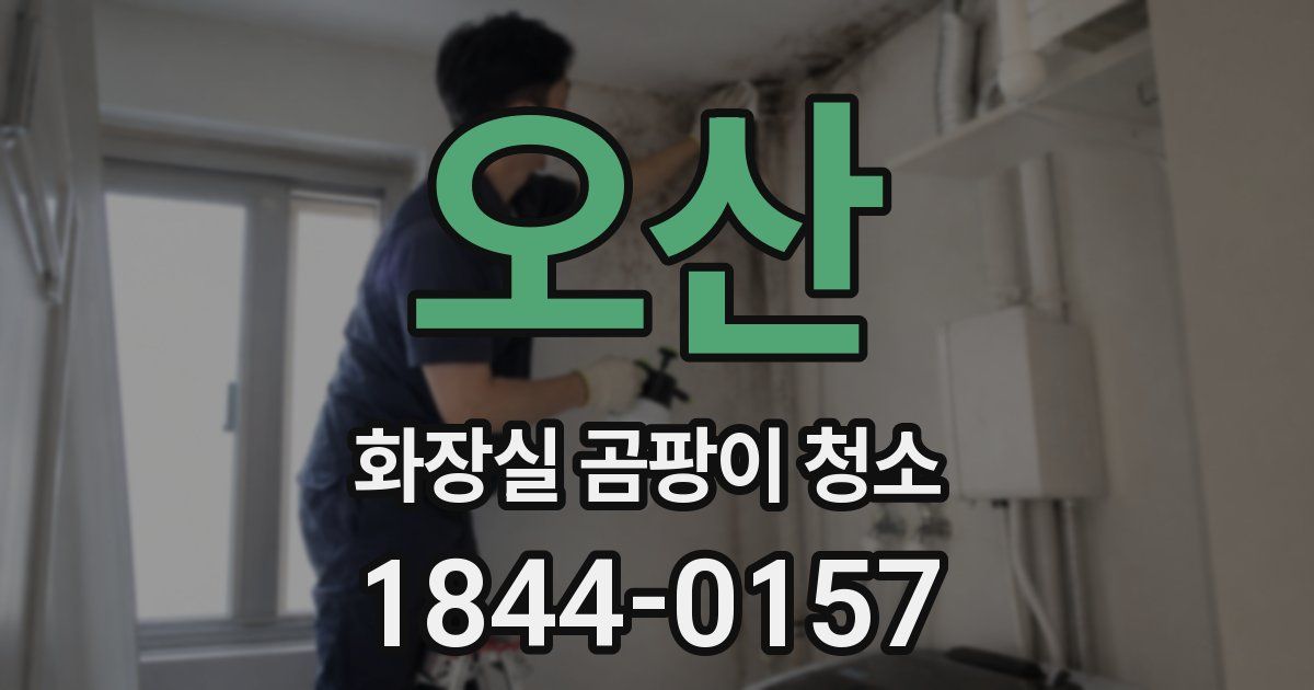 오산 화장실 곰팡이 청소
