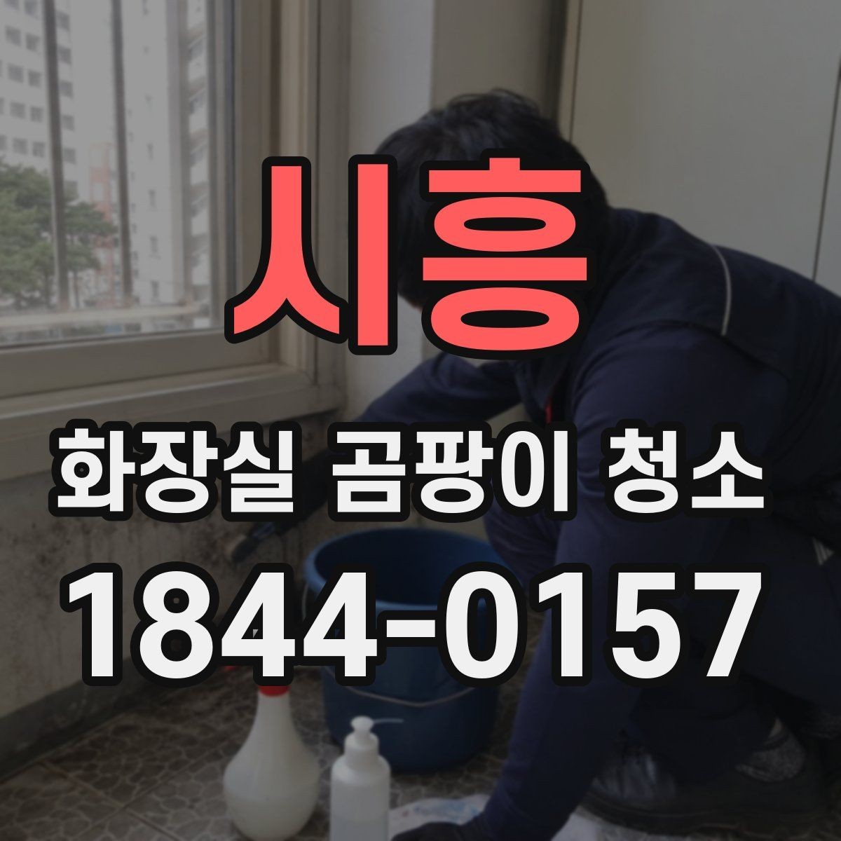 시흥 화장실 곰팡이 청소 타일 표면이 거친 곳을 다룰 때 주의점