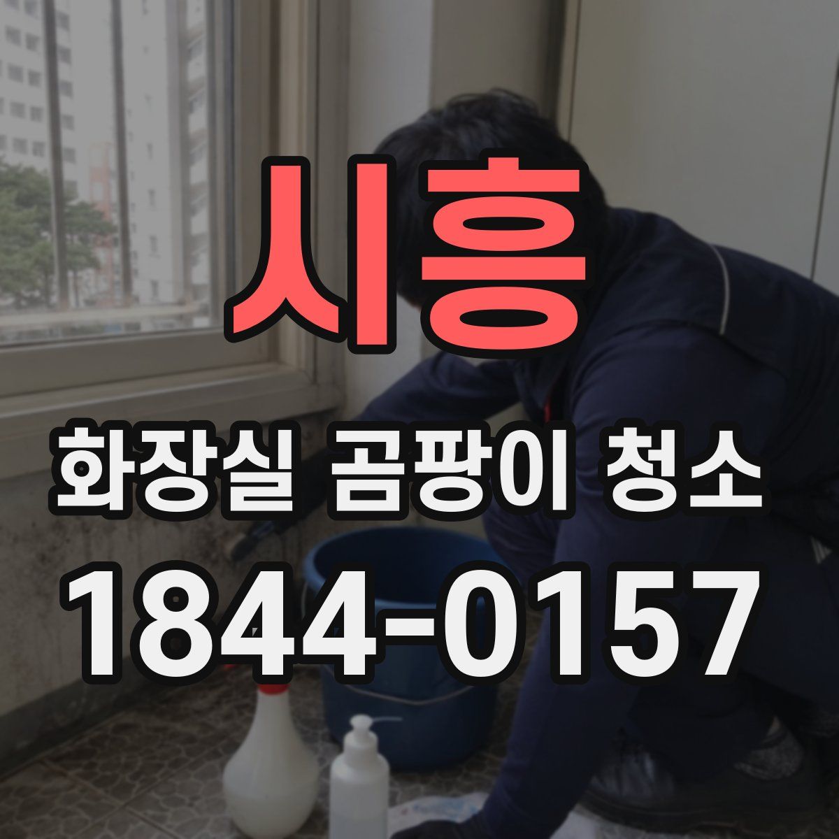 시흥 화장실 곰팡이 청소