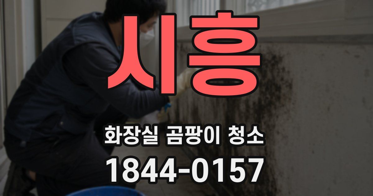 시흥 화장실 곰팡이 청소