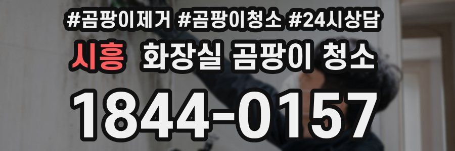 시흥 화장실 곰팡이 청소