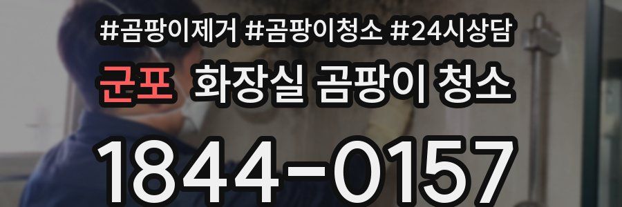 군포 화장실 곰팡이 청소