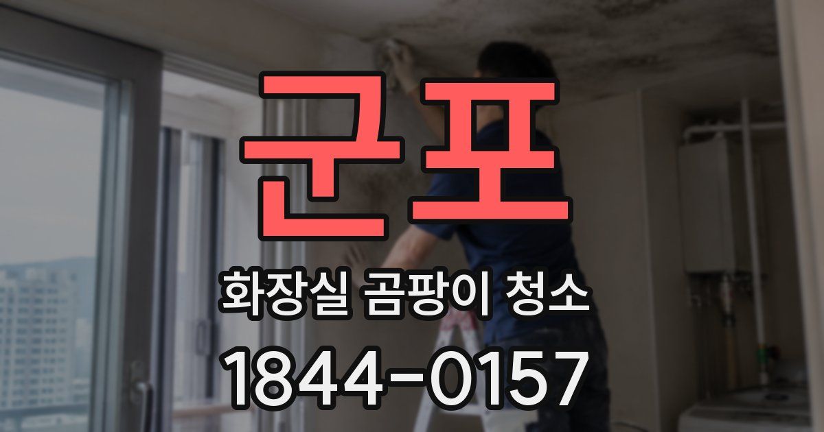 군포 화장실 곰팡이 청소