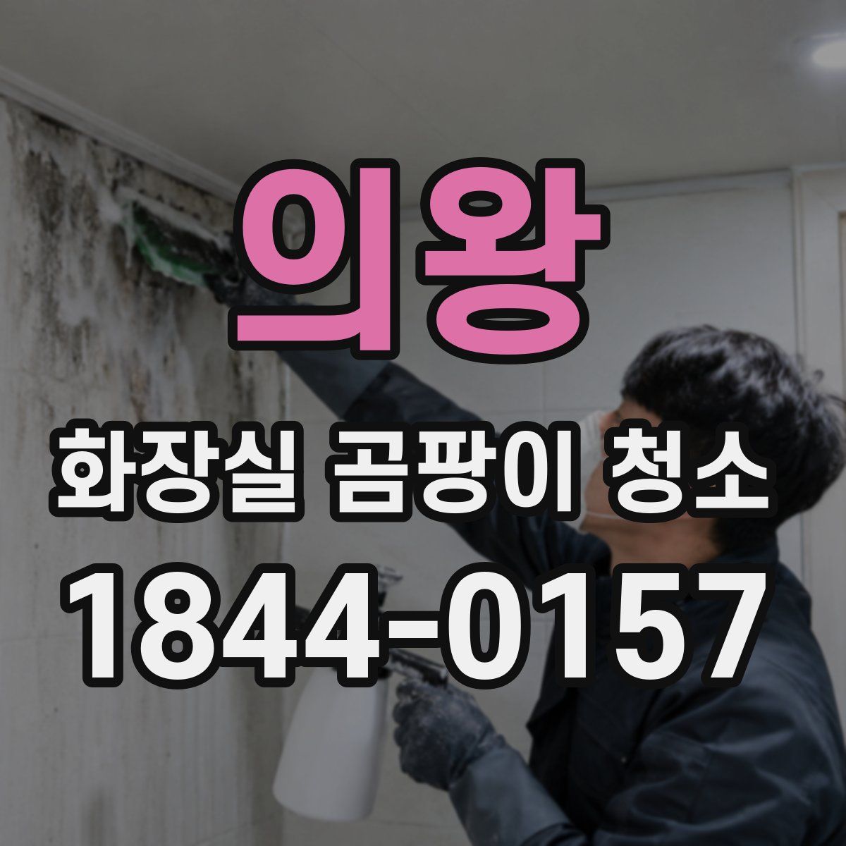 의왕 화장실 곰팡이 청소