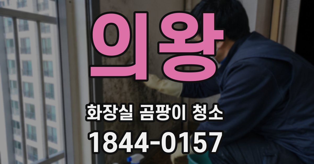 의왕 화장실 곰팡이 청소
