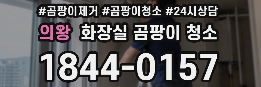 의왕 화장실 곰팡이 청소