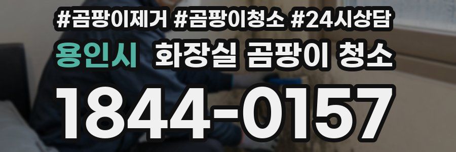 용인시 화장실 곰팡이 청소