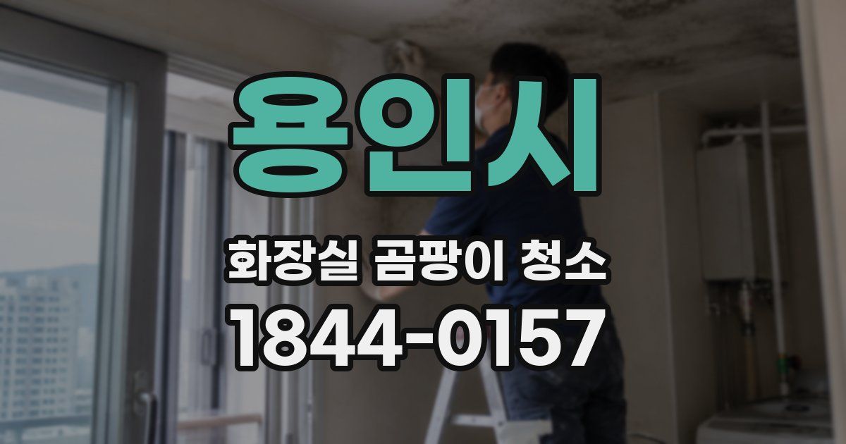 용인시 화장실 곰팡이 청소