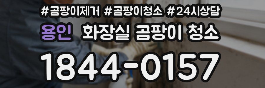 용인 화장실 곰팡이 청소