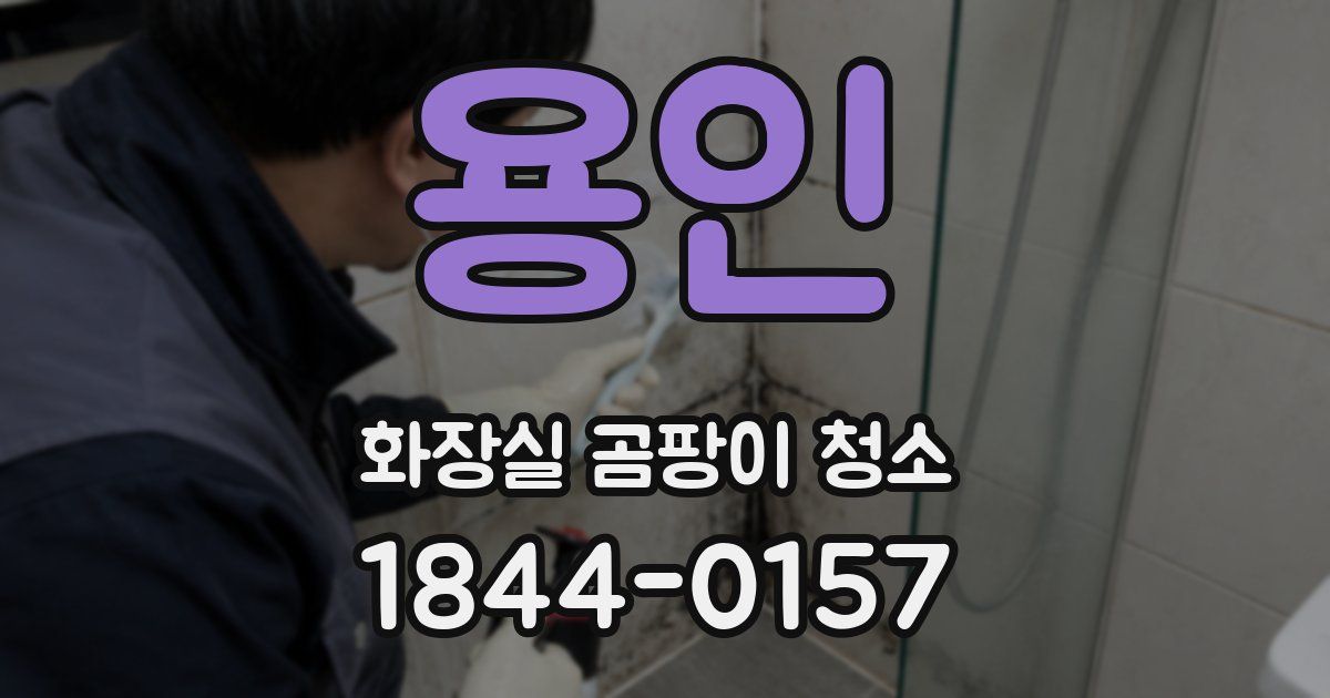 용인 화장실 곰팡이 청소