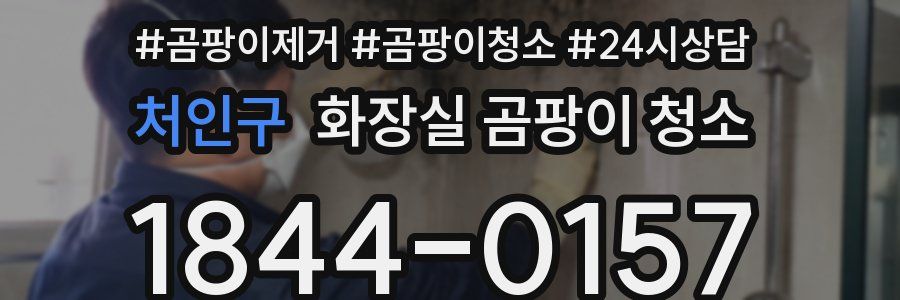 처인구 화장실 곰팡이 청소