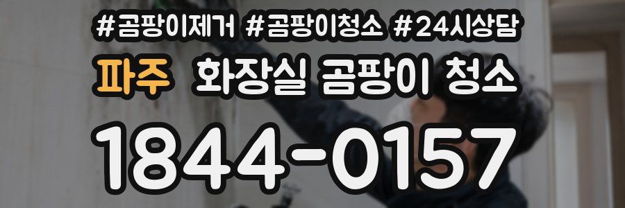 파주 화장실 곰팡이 청소