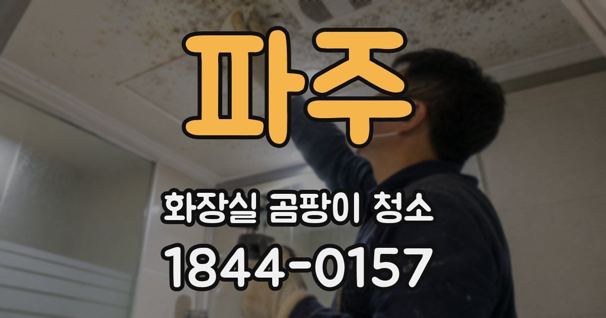 파주 화장실 곰팡이 청소