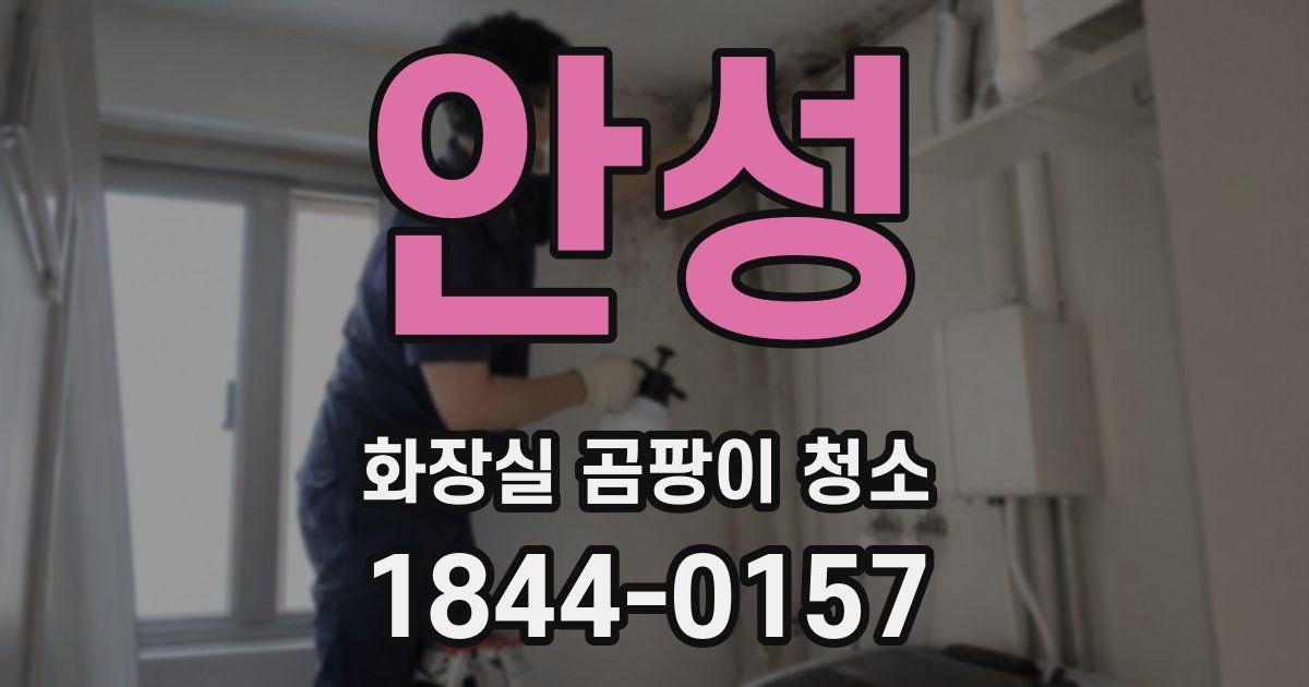 안성 화장실 곰팡이 청소