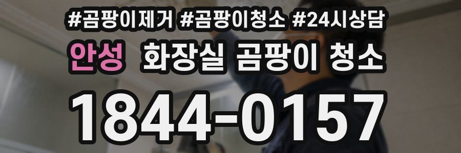 안성 화장실 곰팡이 청소
