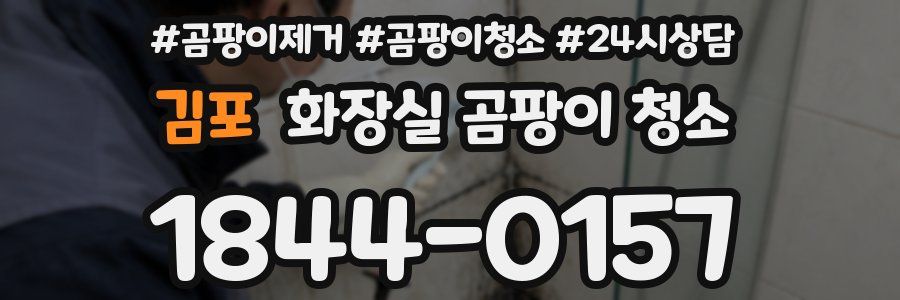 김포 화장실 곰팡이 청소