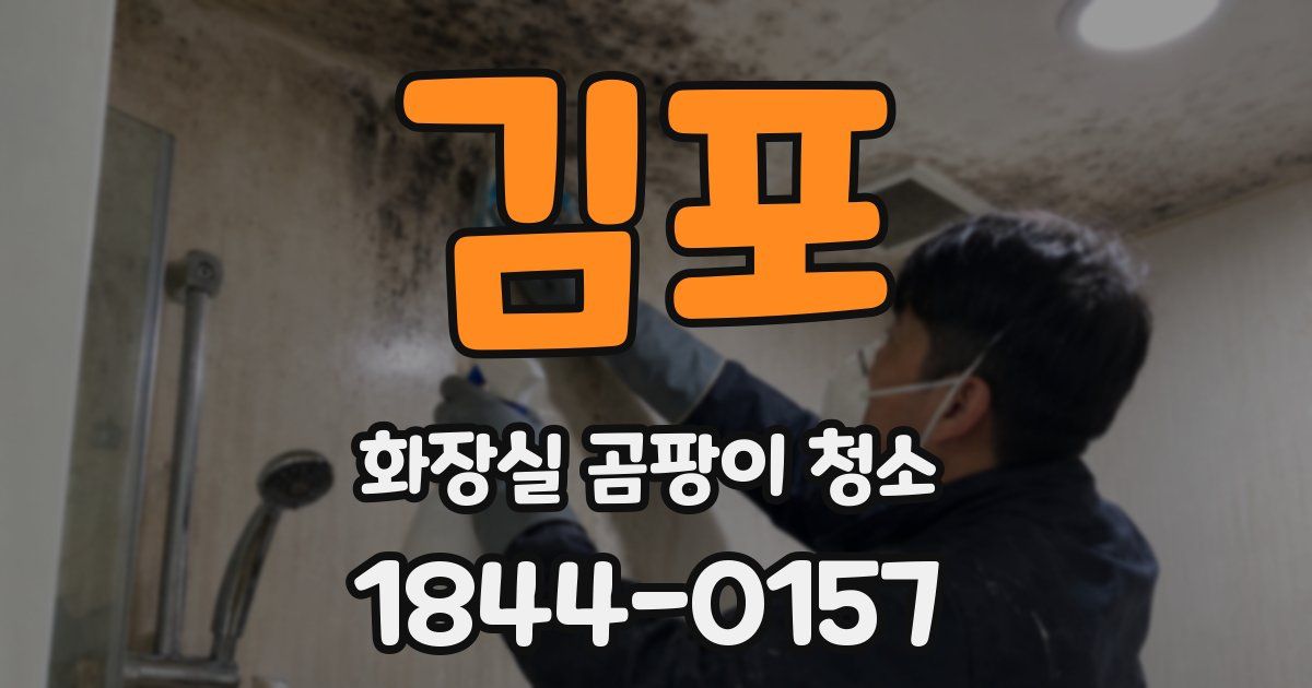 김포 화장실 곰팡이 청소