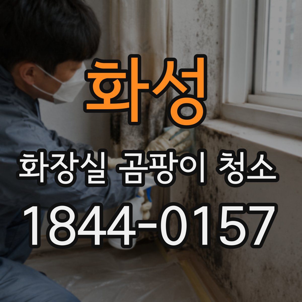화성 화장실 곰팡이 청소