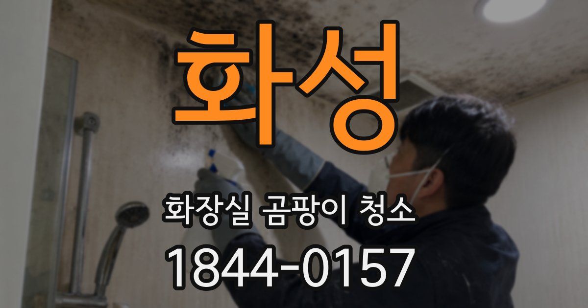 화성 화장실 곰팡이 청소