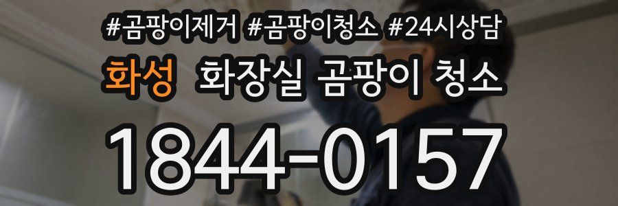 화성 화장실 곰팡이 청소