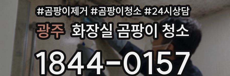 광주 화장실 곰팡이 청소