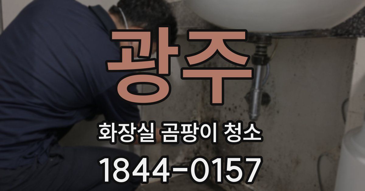 광주 화장실 곰팡이 청소