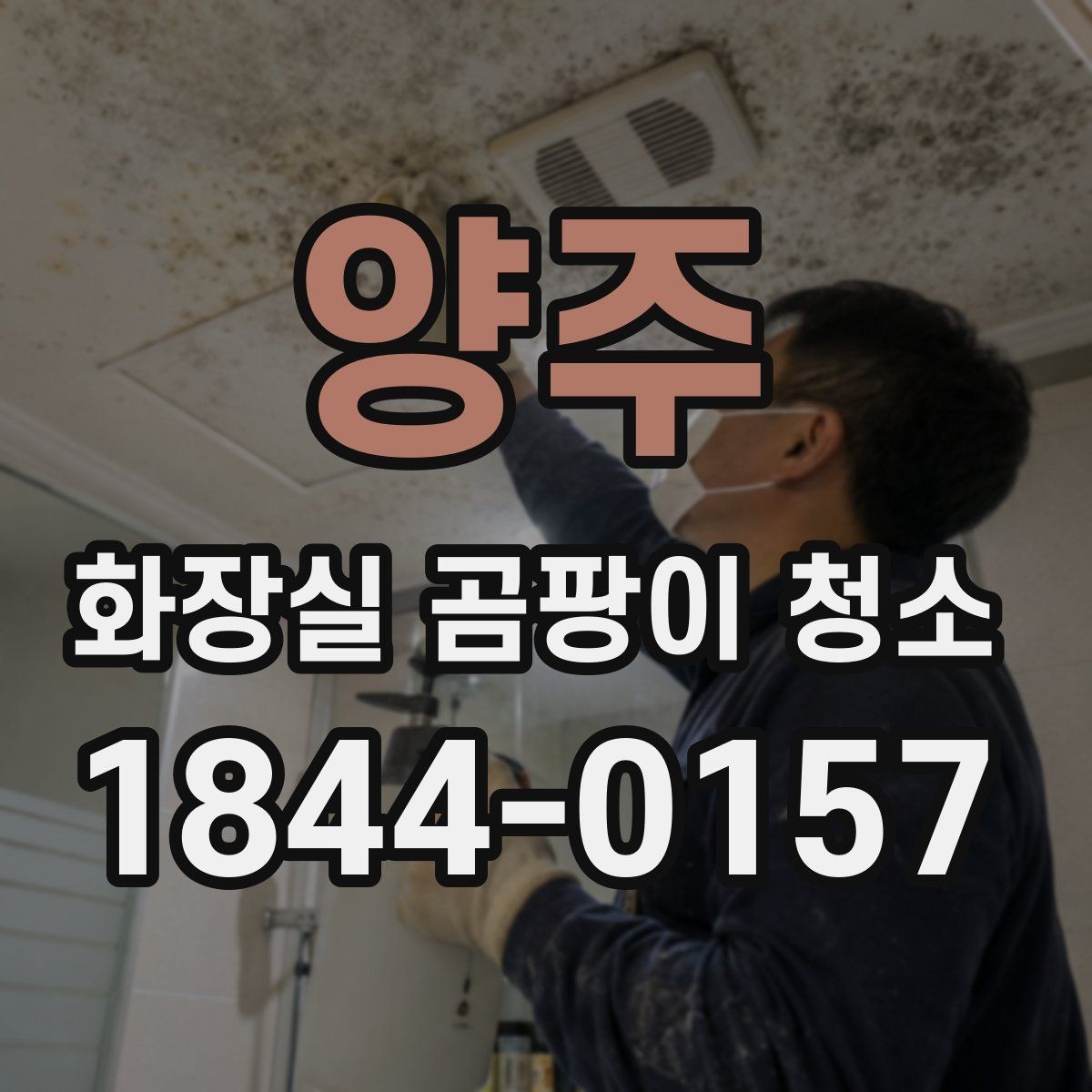 양주 화장실 곰팡이 청소 광택 타일과 무광 타일 닦는 순서 차이