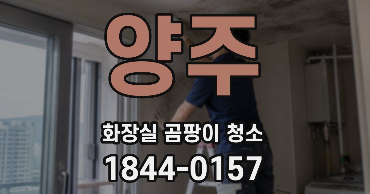 양주 화장실 곰팡이 청소
