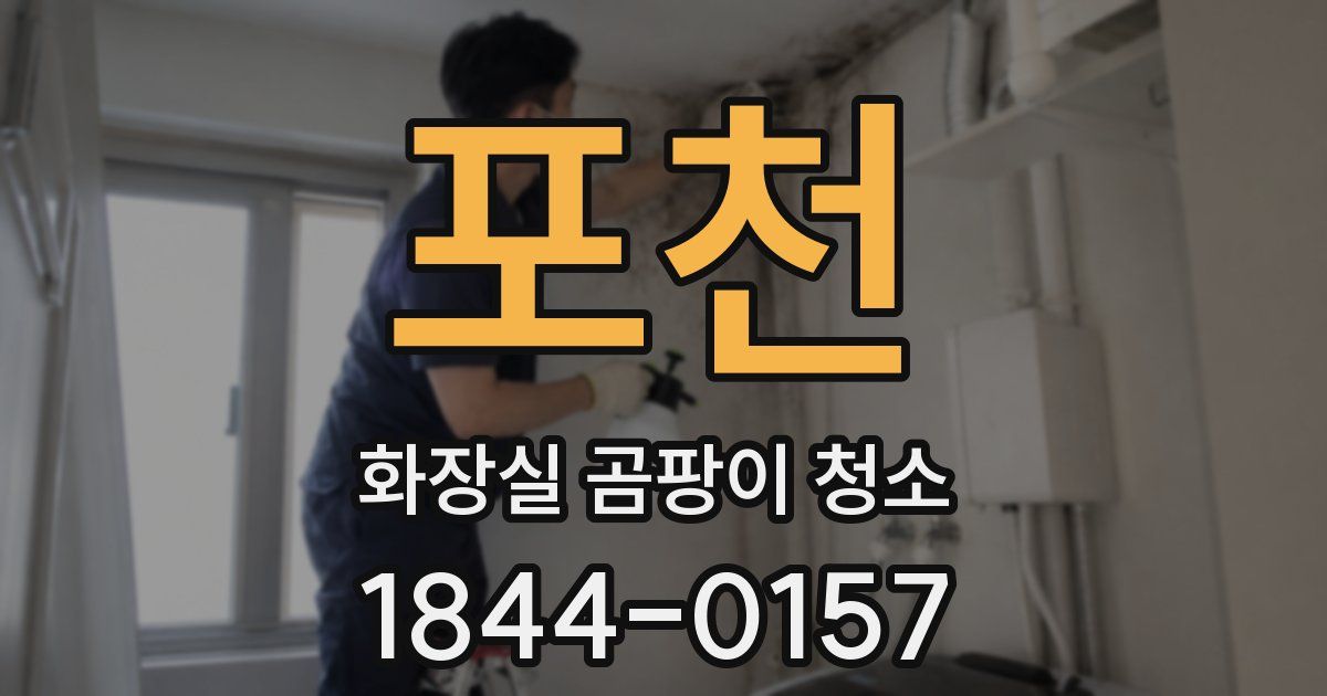 포천 화장실 곰팡이 청소