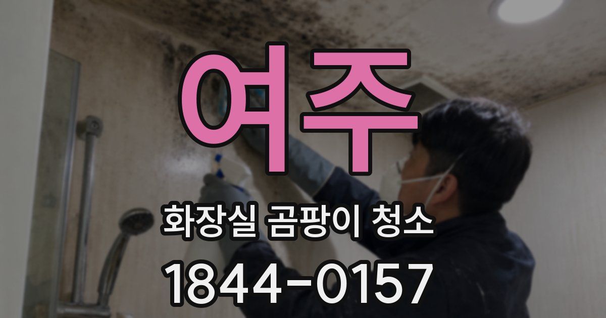 여주 화장실 곰팡이 청소