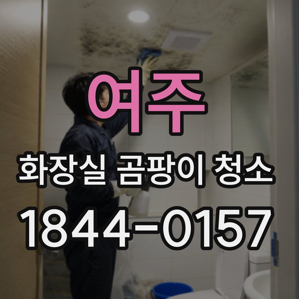 여주 화장실 곰팡이 청소