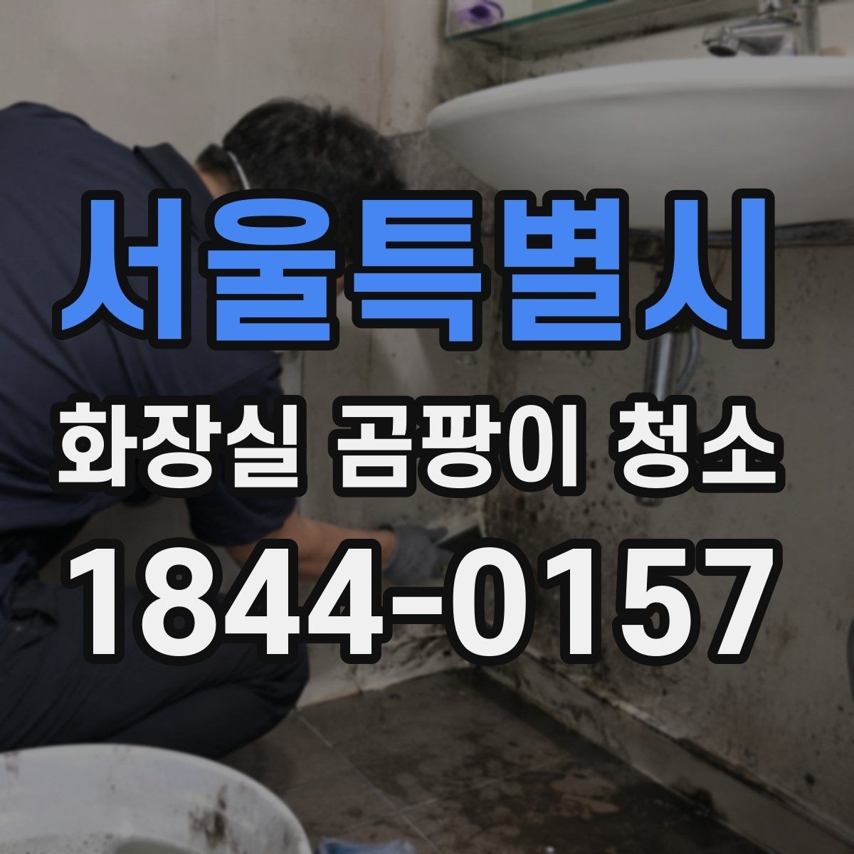 서울특별시 화장실 곰팡이 청소 변기 주변 묵은 때와 습기 자국을 나누는 법
