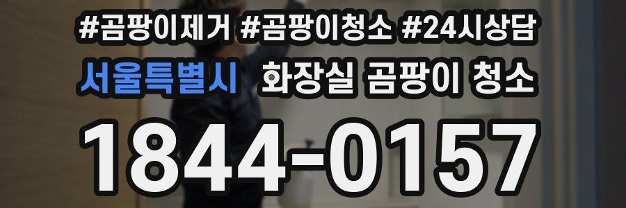 서울특별시 화장실 곰팡이 청소